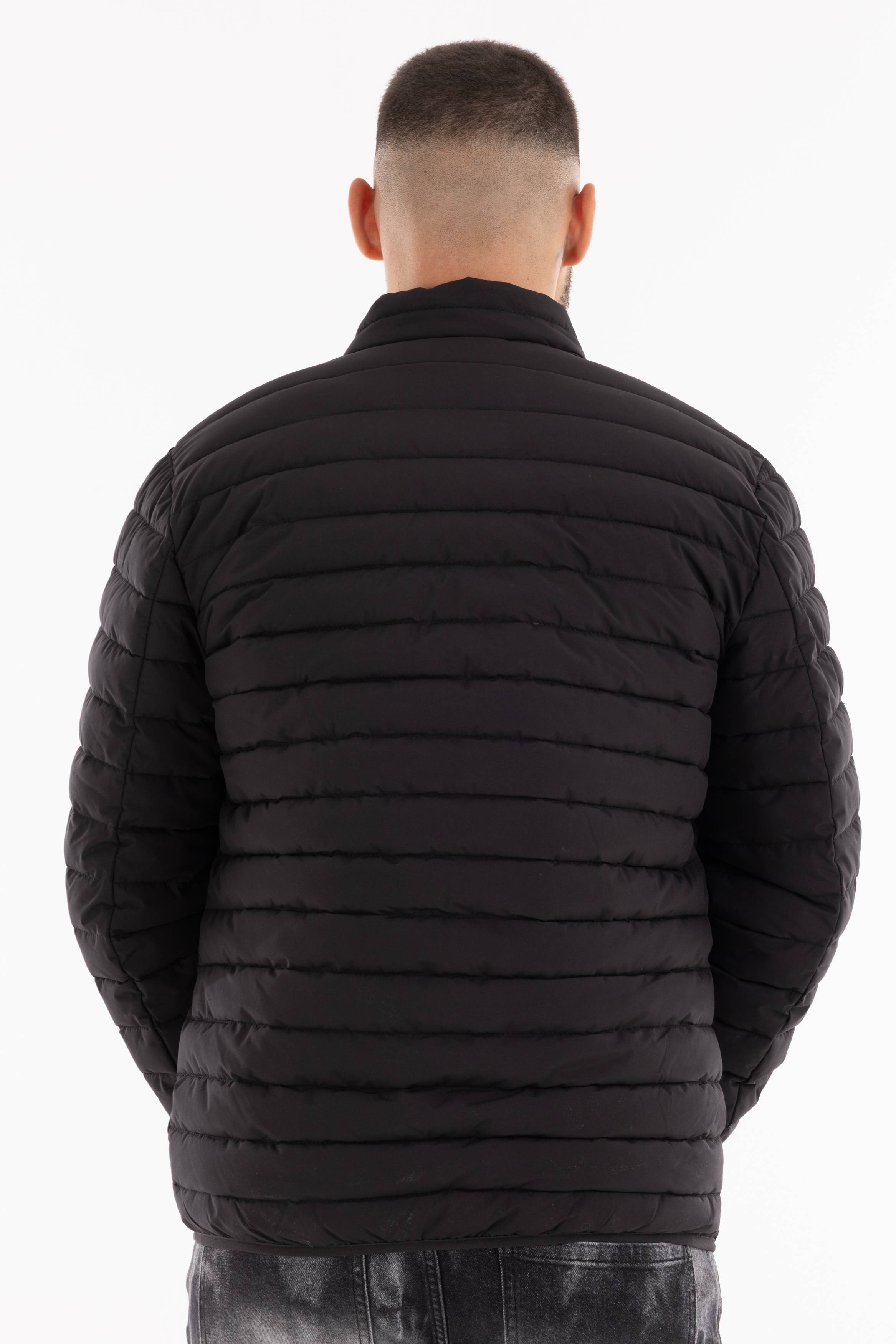 Immagine 3 per PRIGBE-VS0020