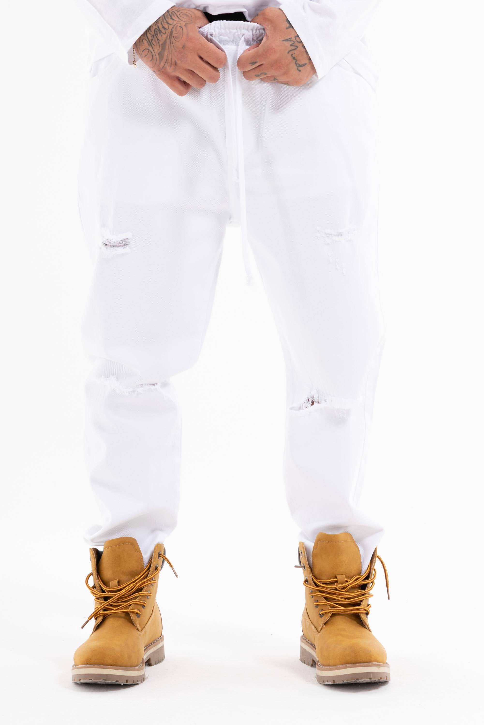 Immagine 9 per PRIA25UJ041