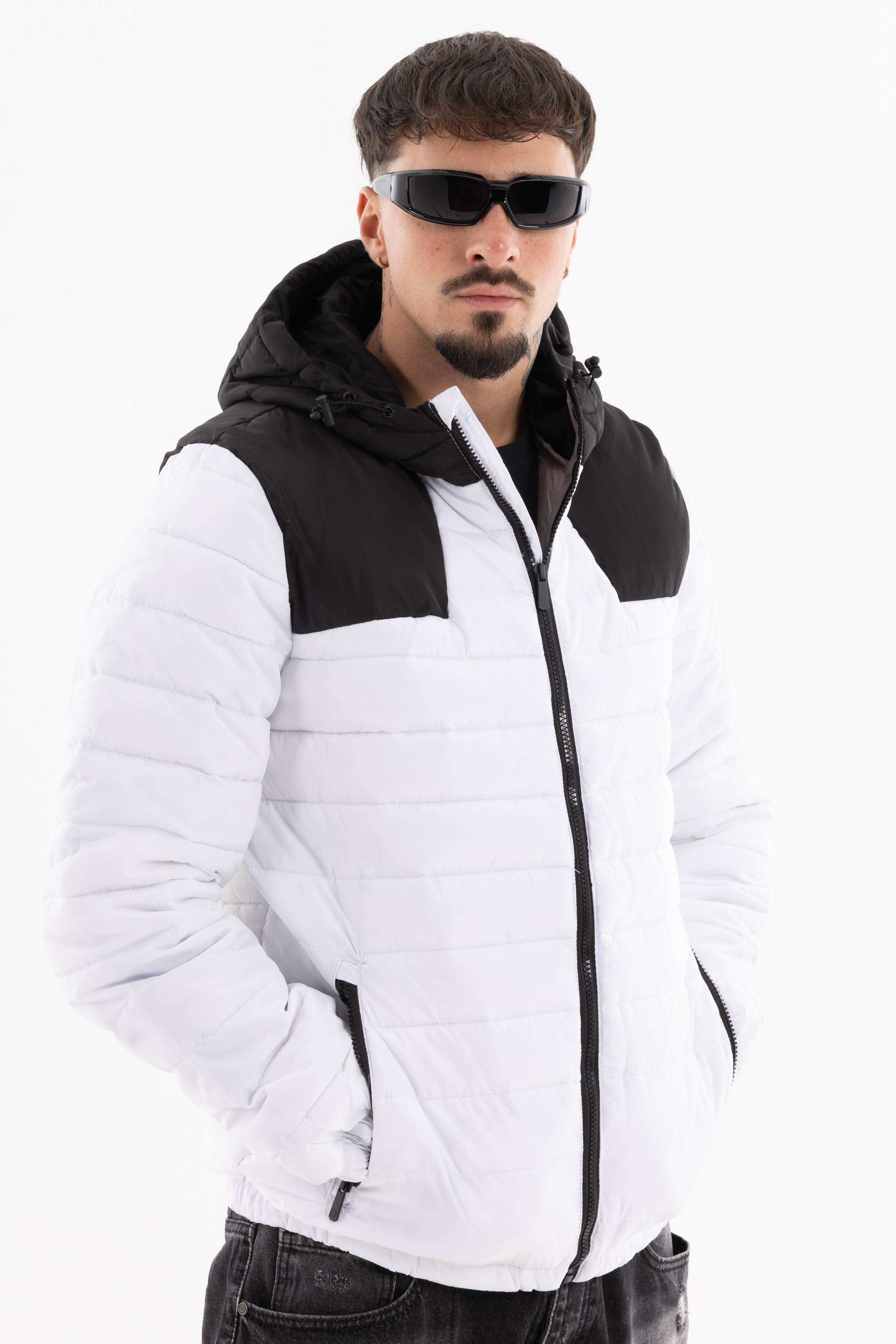 Immagine 13 per PRIGBI-VS0022