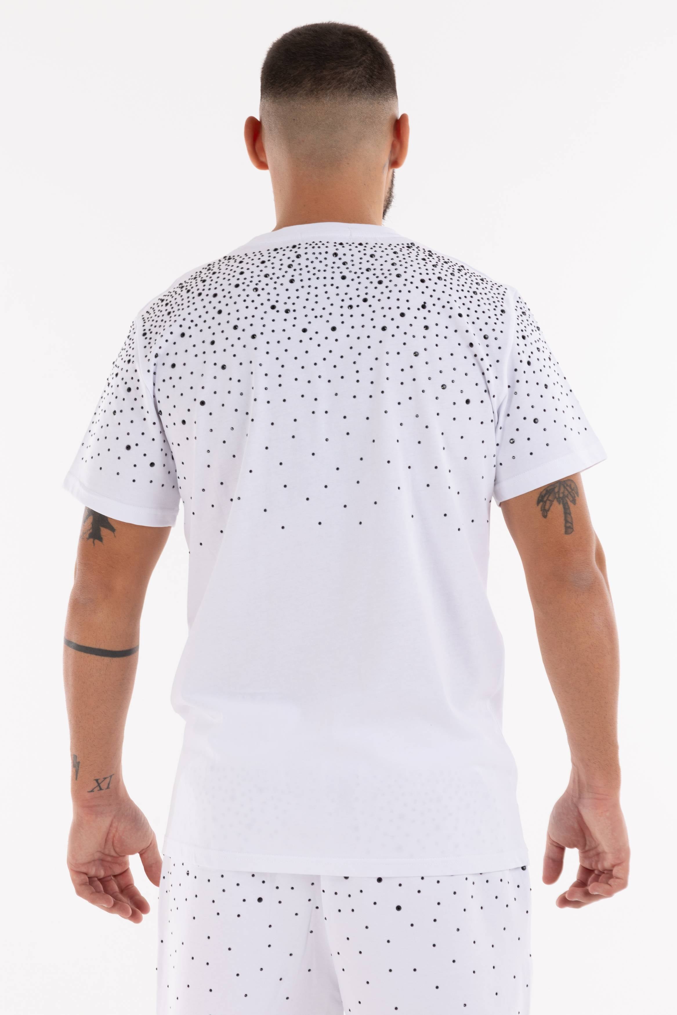 Immagine 8 per PRITSE-AK0085