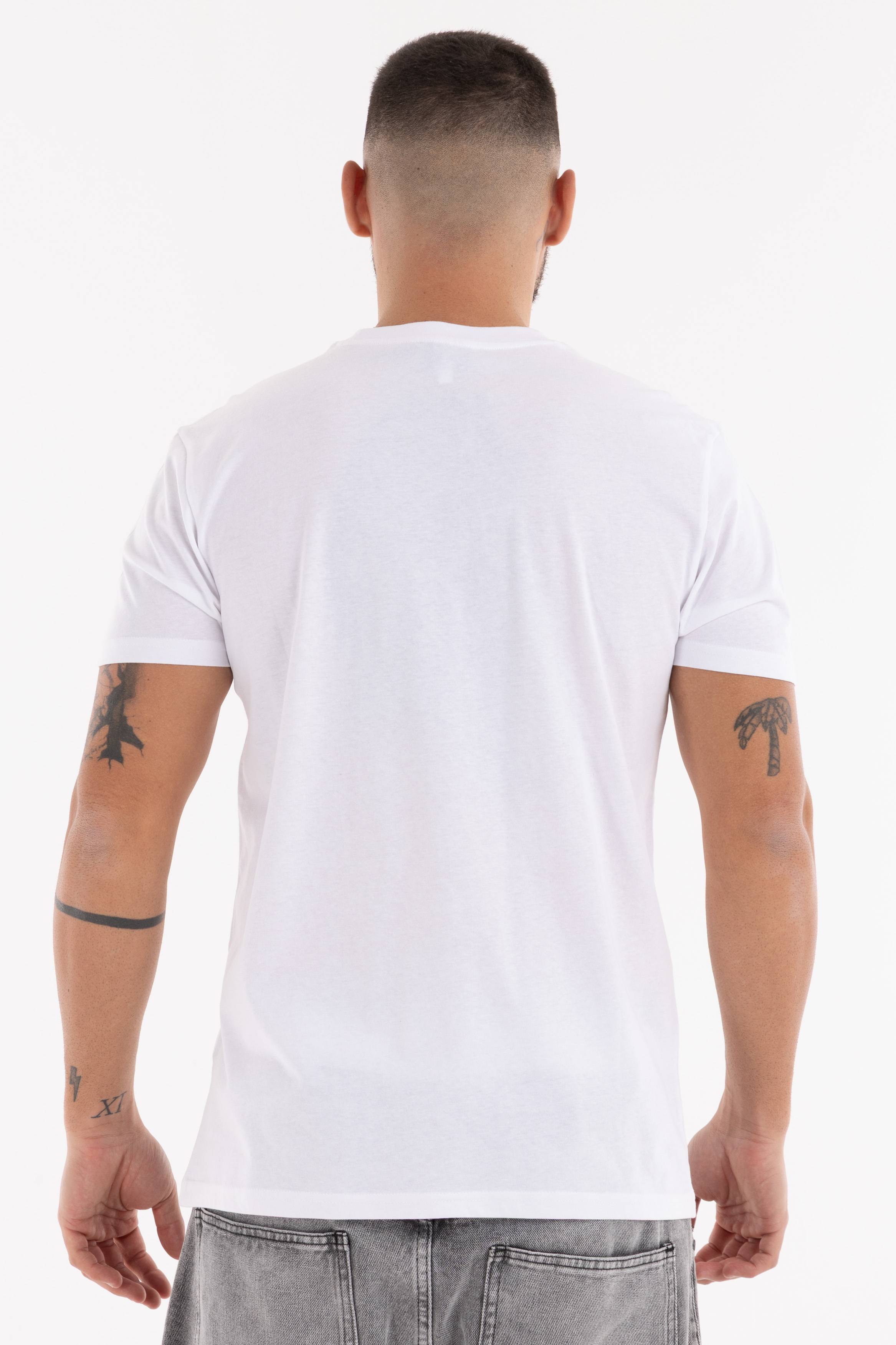 Immagine 8 per PRITSE-ID00138