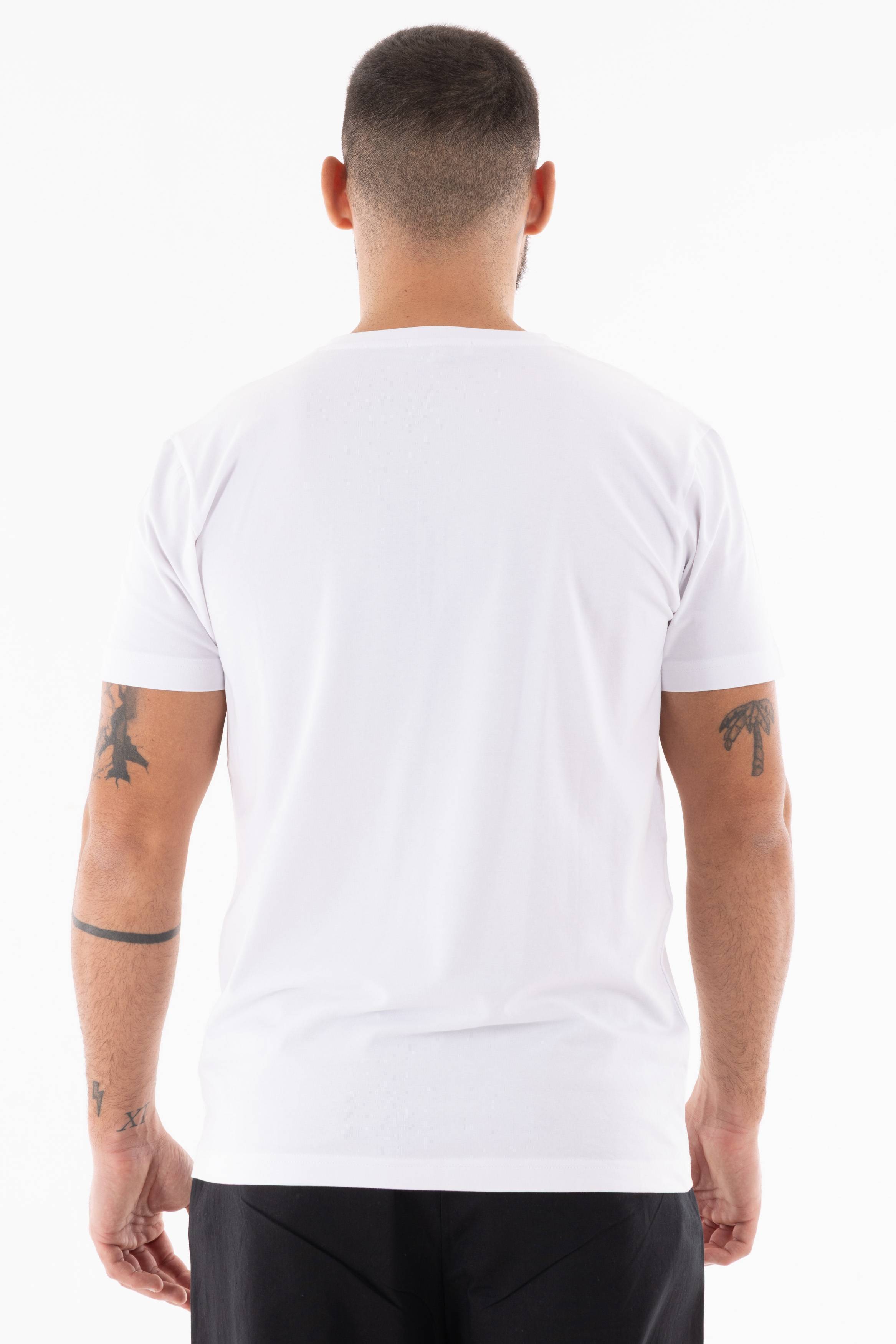 Immagine 8 per PRITSE-VS00165