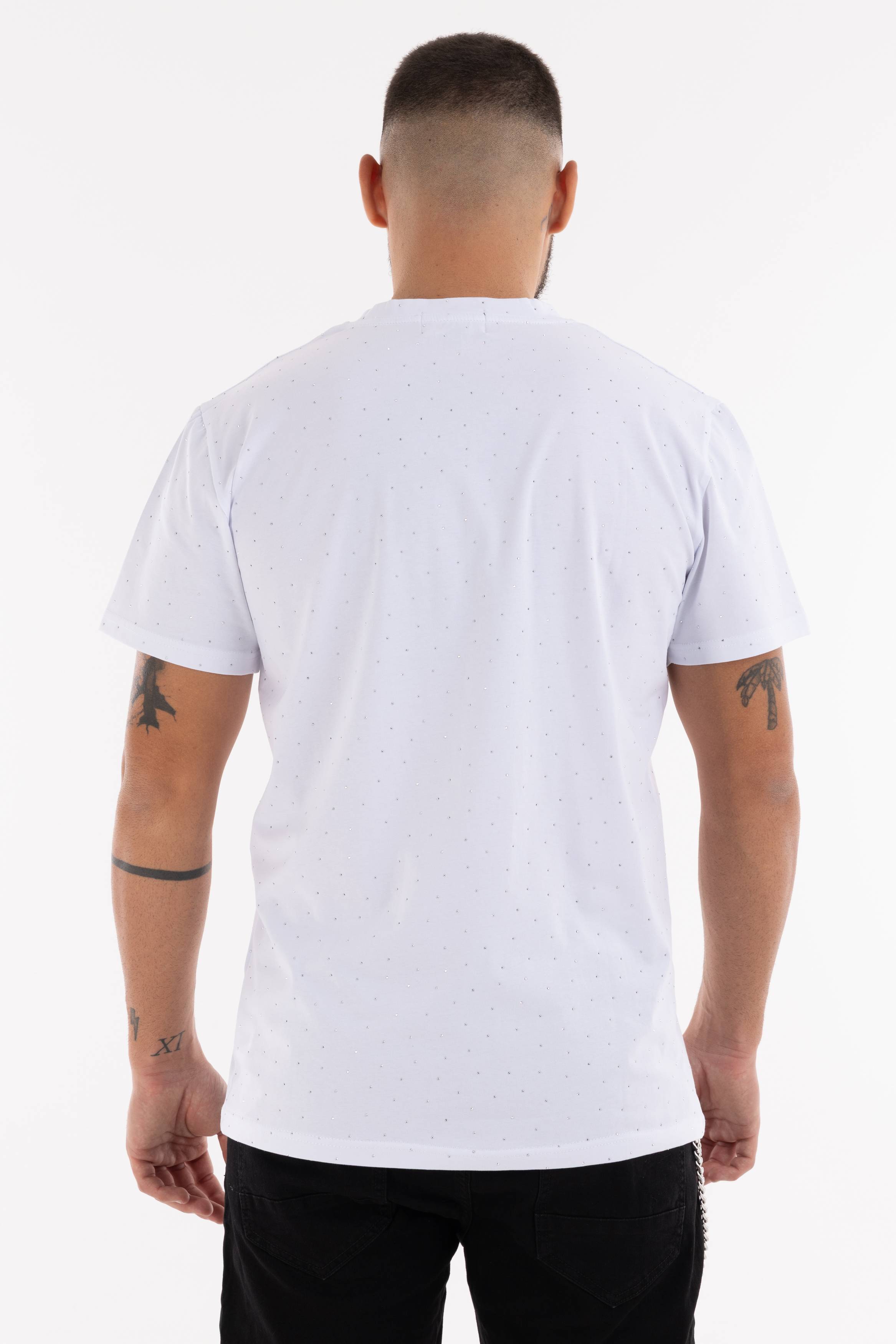 Immagine 8 per PRITSE-AK00100