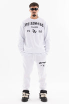 Immagine 10 per PRIFLI-ID0038