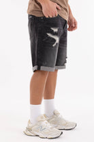 Immagine 2 per PRIBER-ID0093