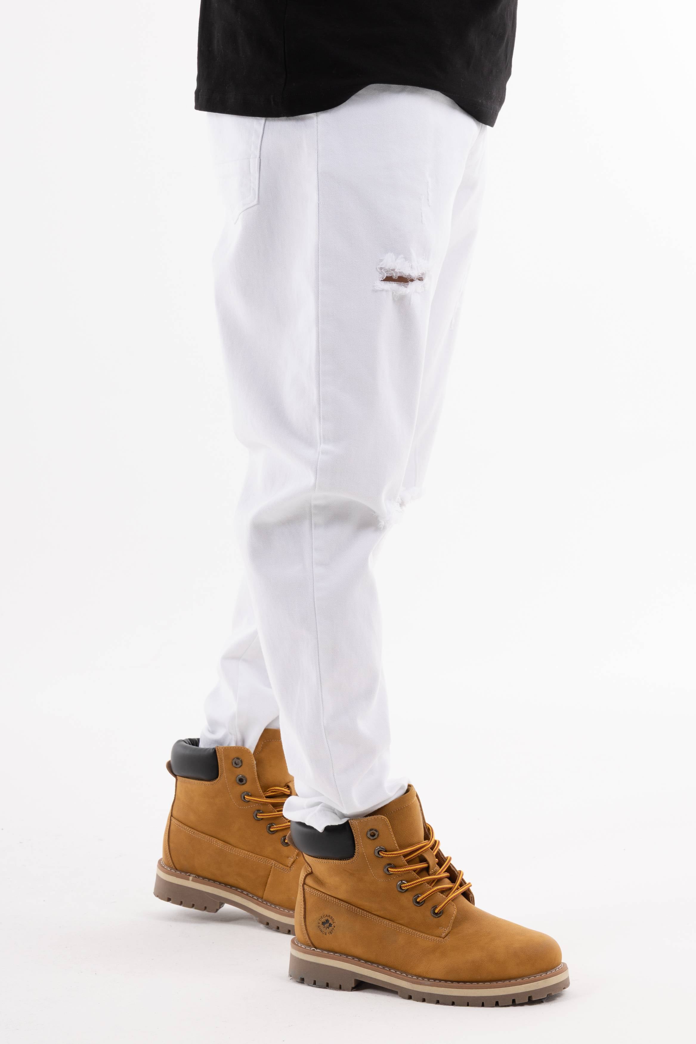 Immagine 8 per PRIA25PA056