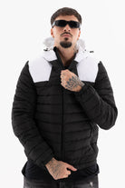 Immagine 1 per PRIGBI-VS00221