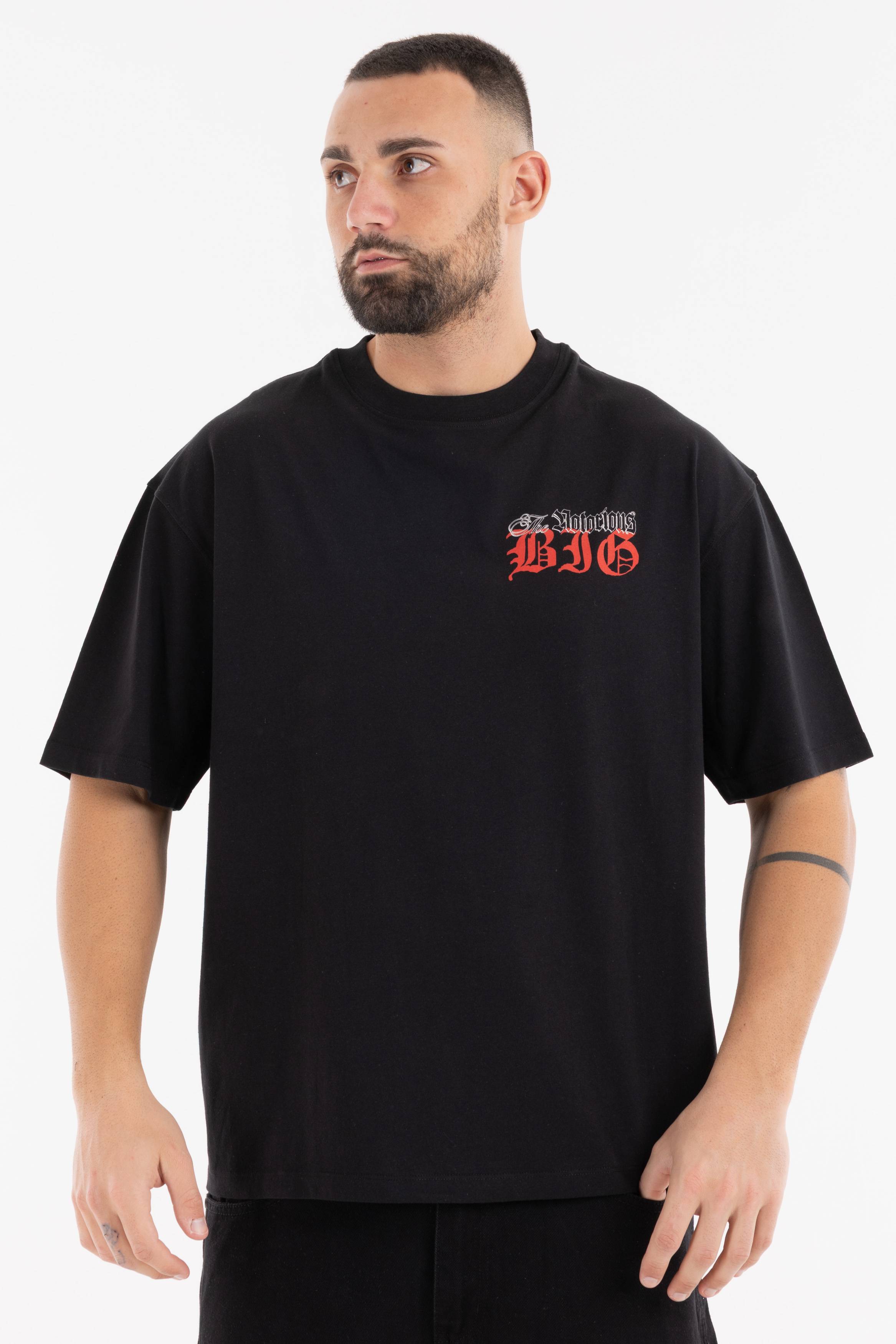 Immagine 1 per PRIBIG02AP