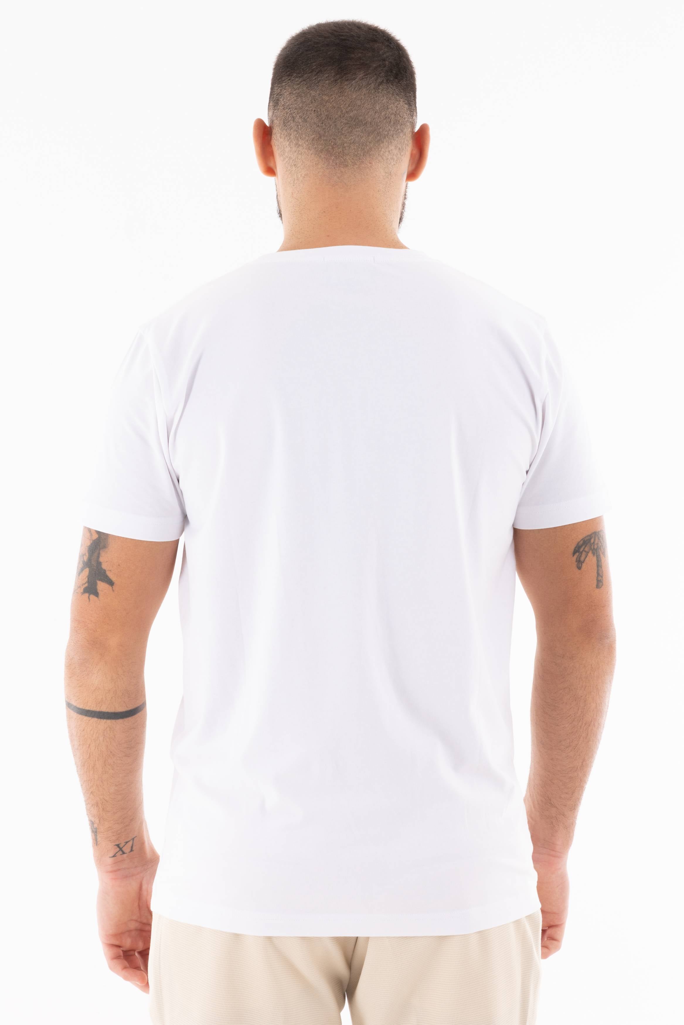 Immagine 8 per PRITSE-ABS0171