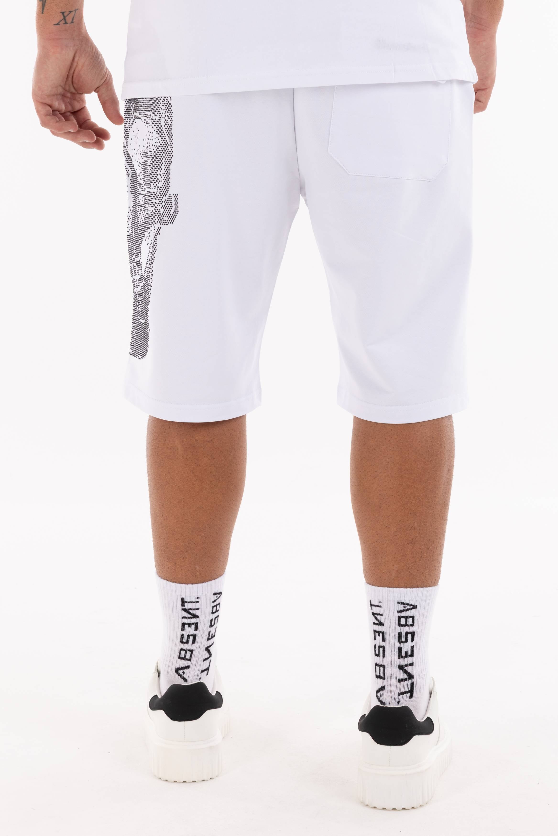 Immagine 8 per PRIBER-AK0097