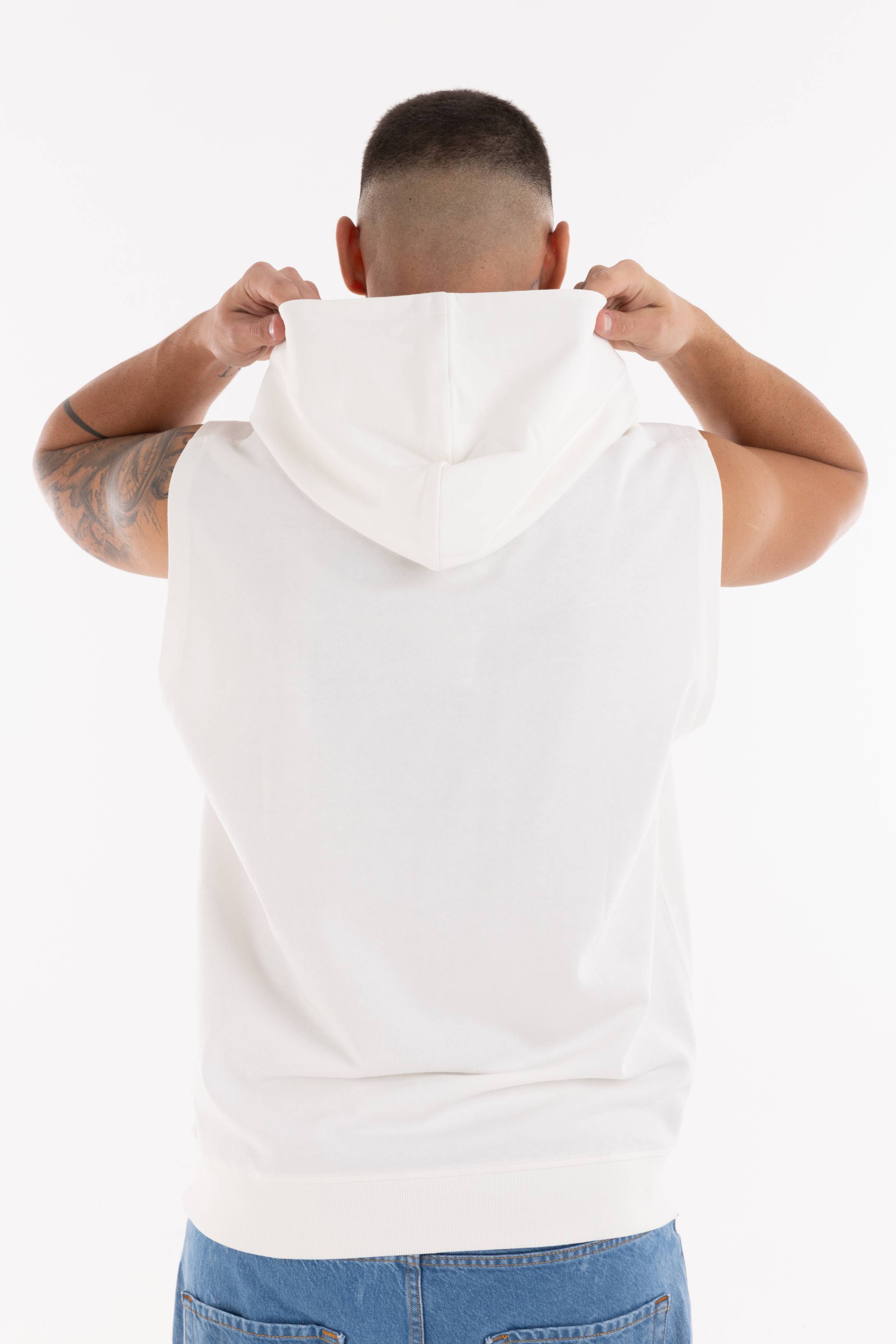 Immagine 3 per PRISME-VS009