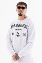 Immagine 7 per PRIFLI-ID0038