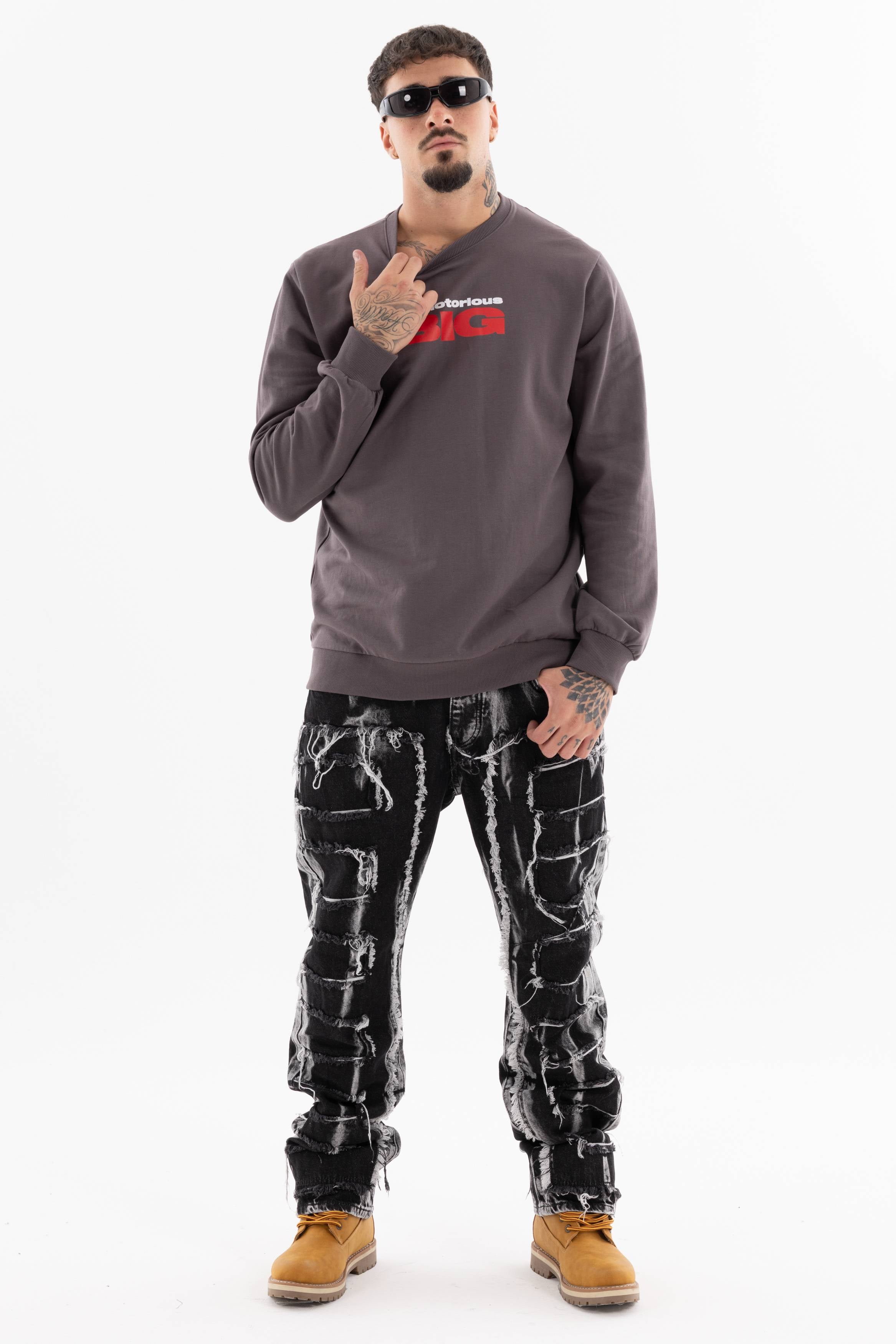 Immagine 10 per PRIBIG01