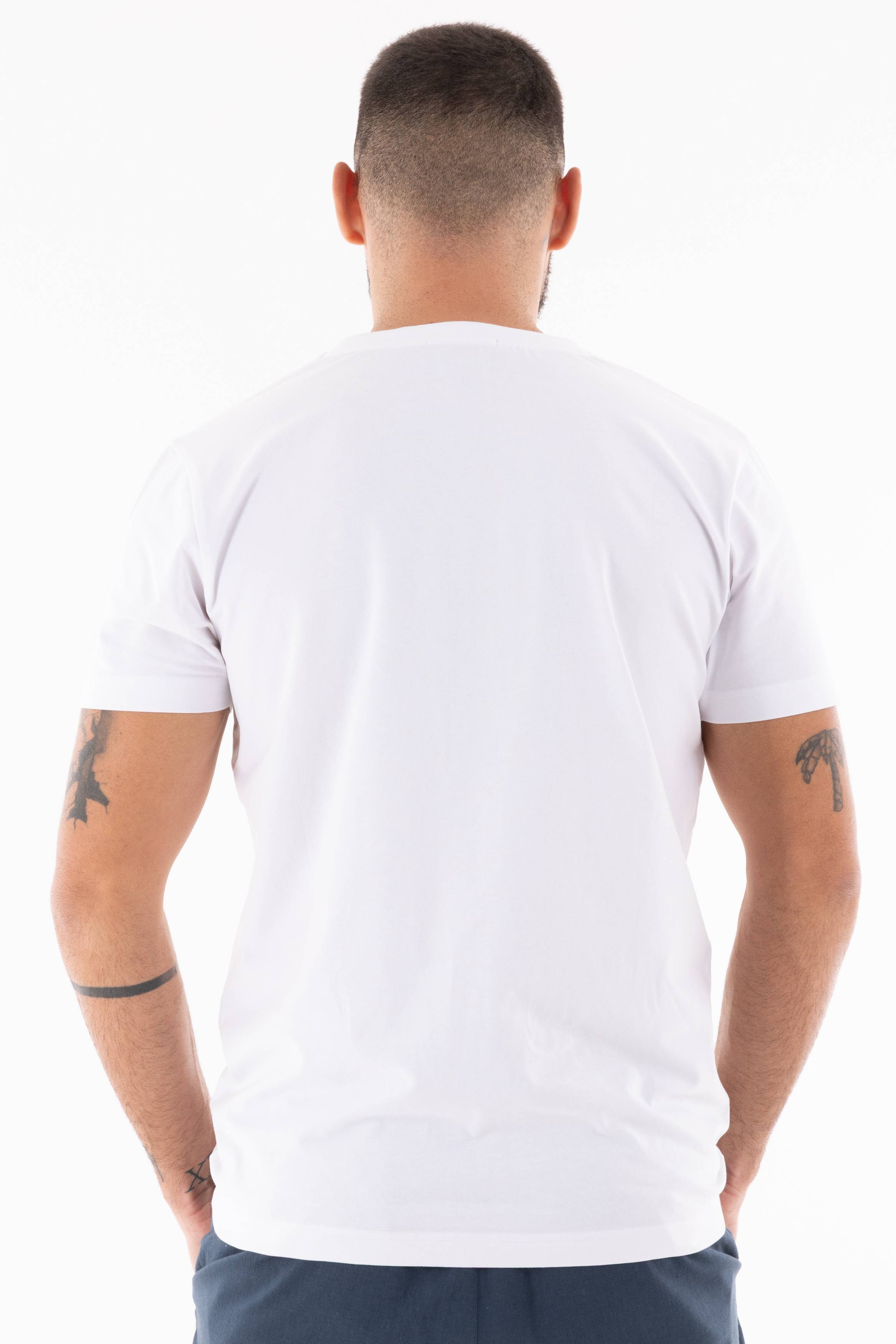 Immagine 3 per PRITSE-ABS0170