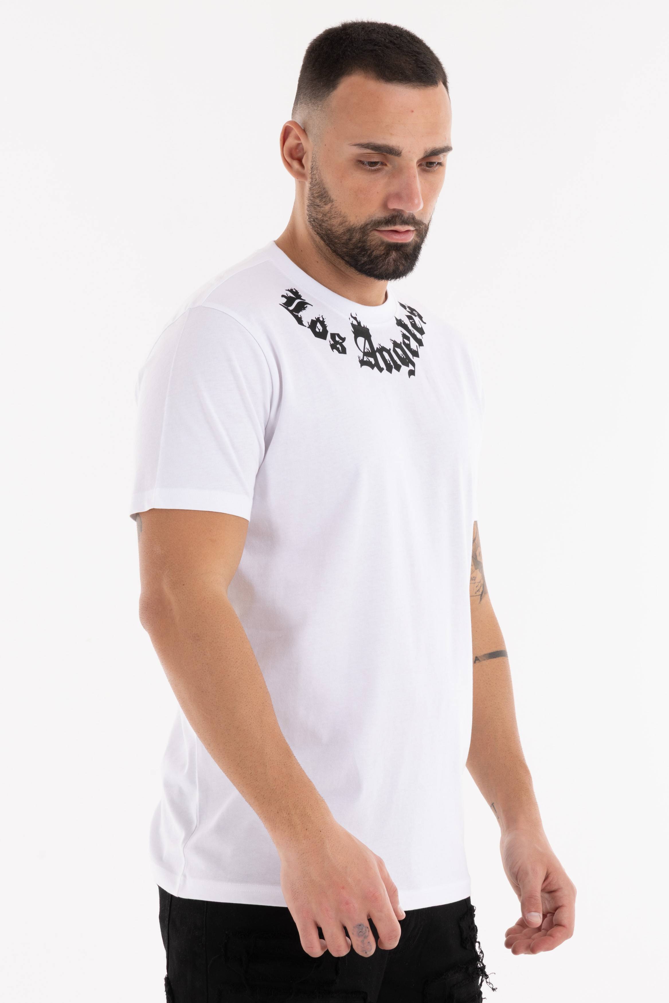Immagine 7 per PRITSE-ID00137