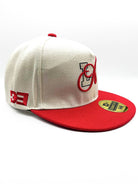 Immagine 5 per PRIBR-ID0037