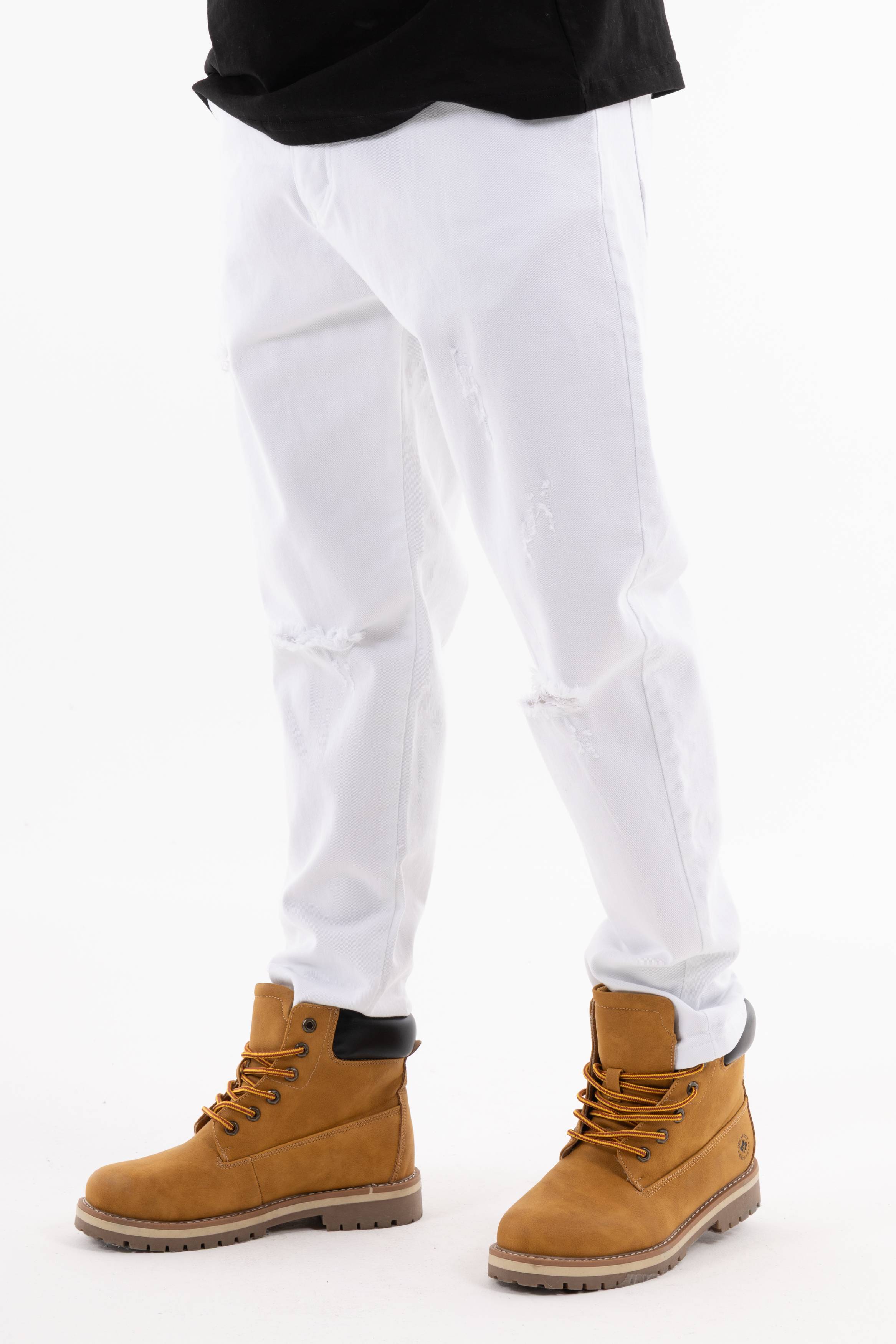 Immagine 7 per PRIA25PA056