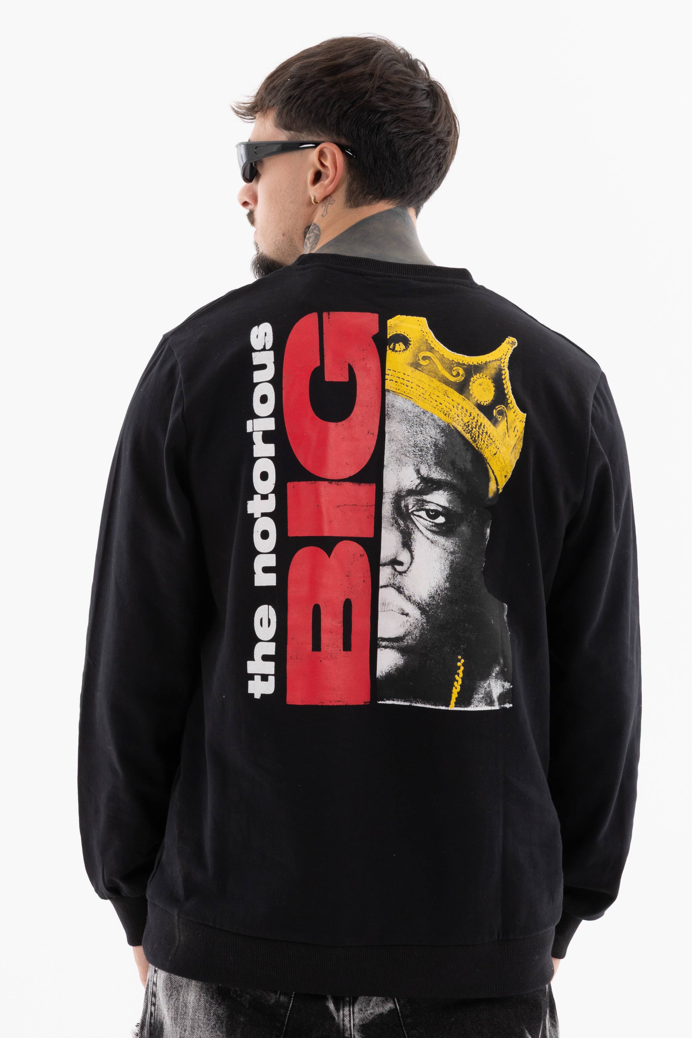 Immagine 4 per PRIBIG01