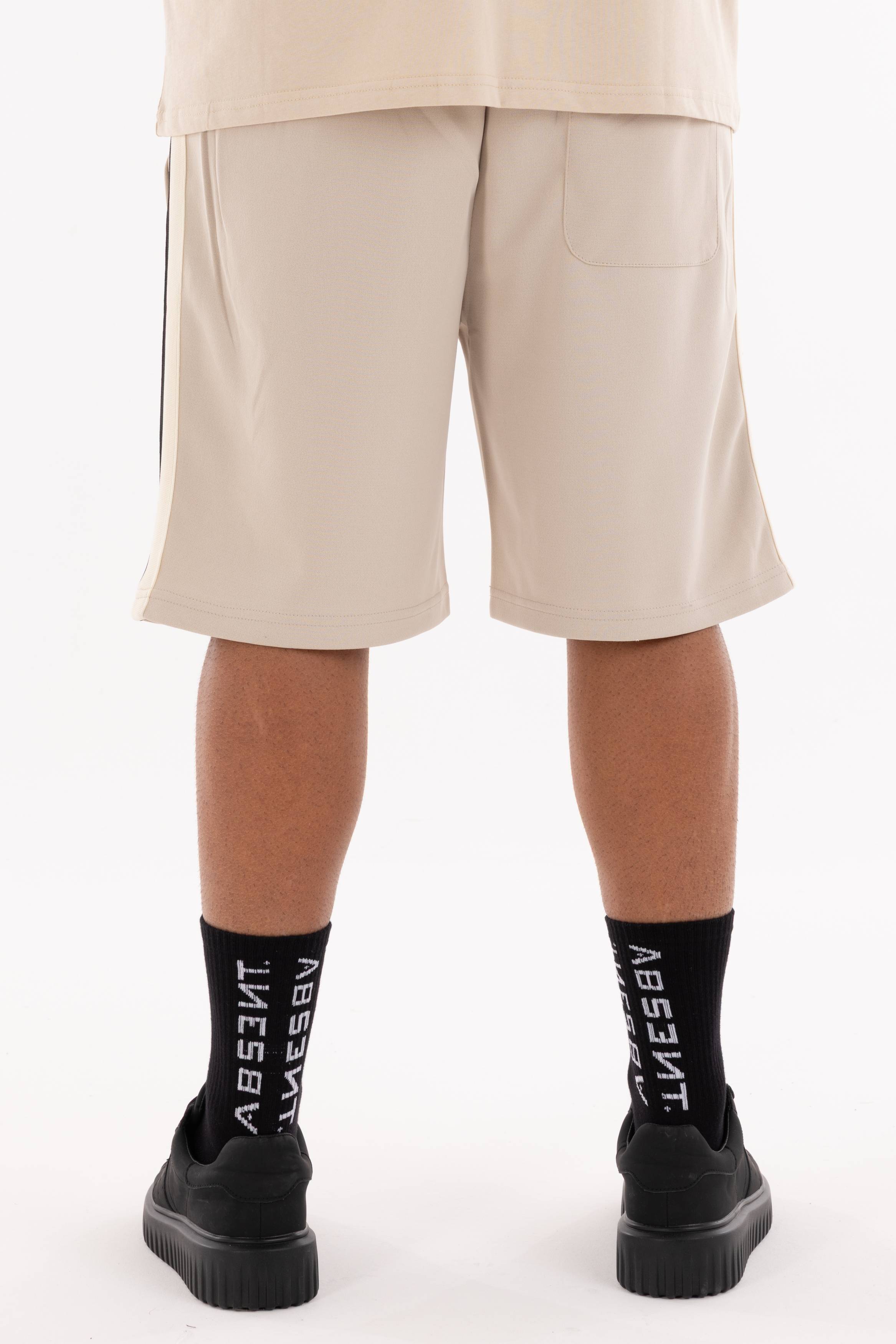 Immagine 8 per PRIBER-AK0084