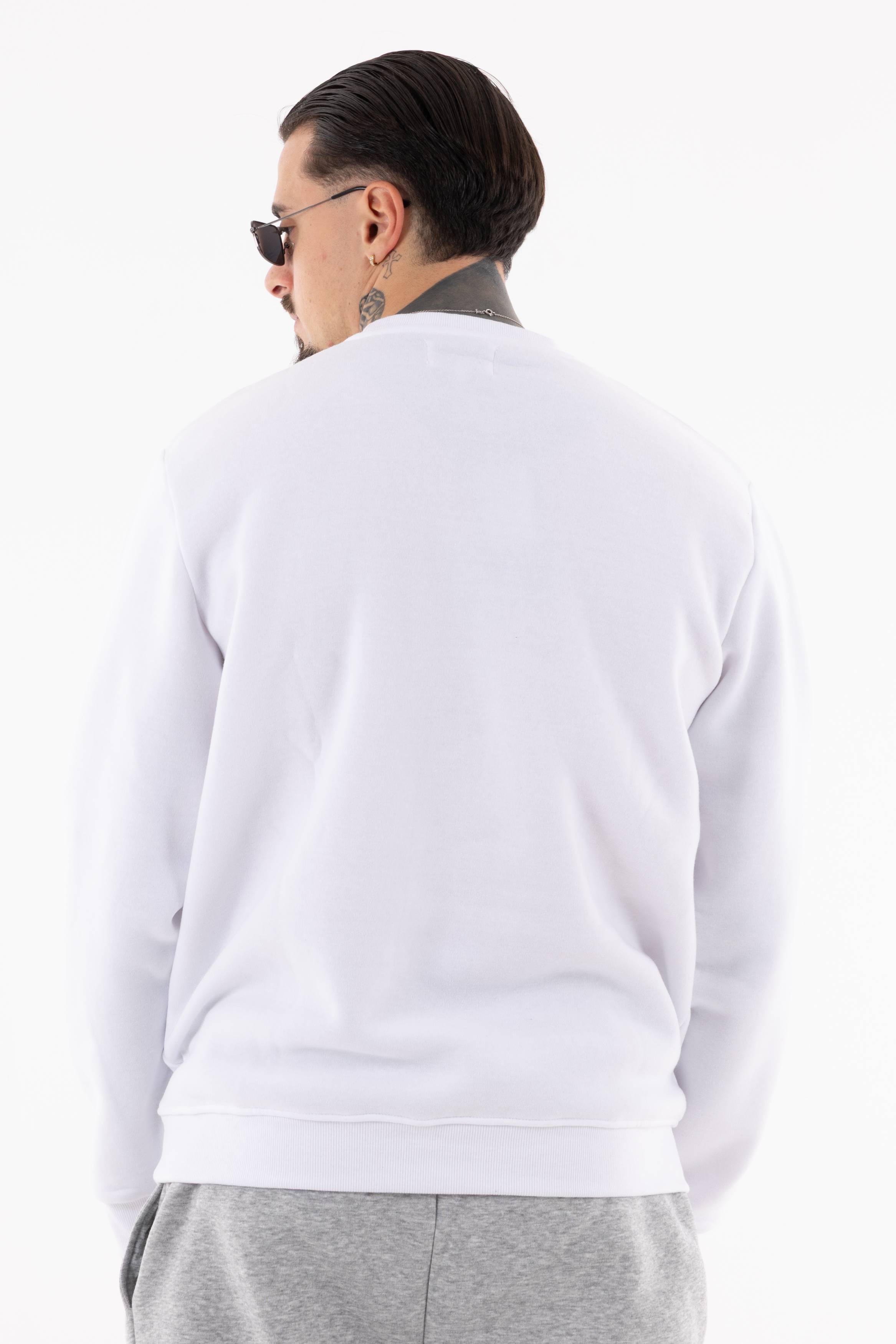 Immagine 18 per PRIFLI-ID0039