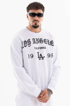 Immagine 8 per PRIFLI-ID0038