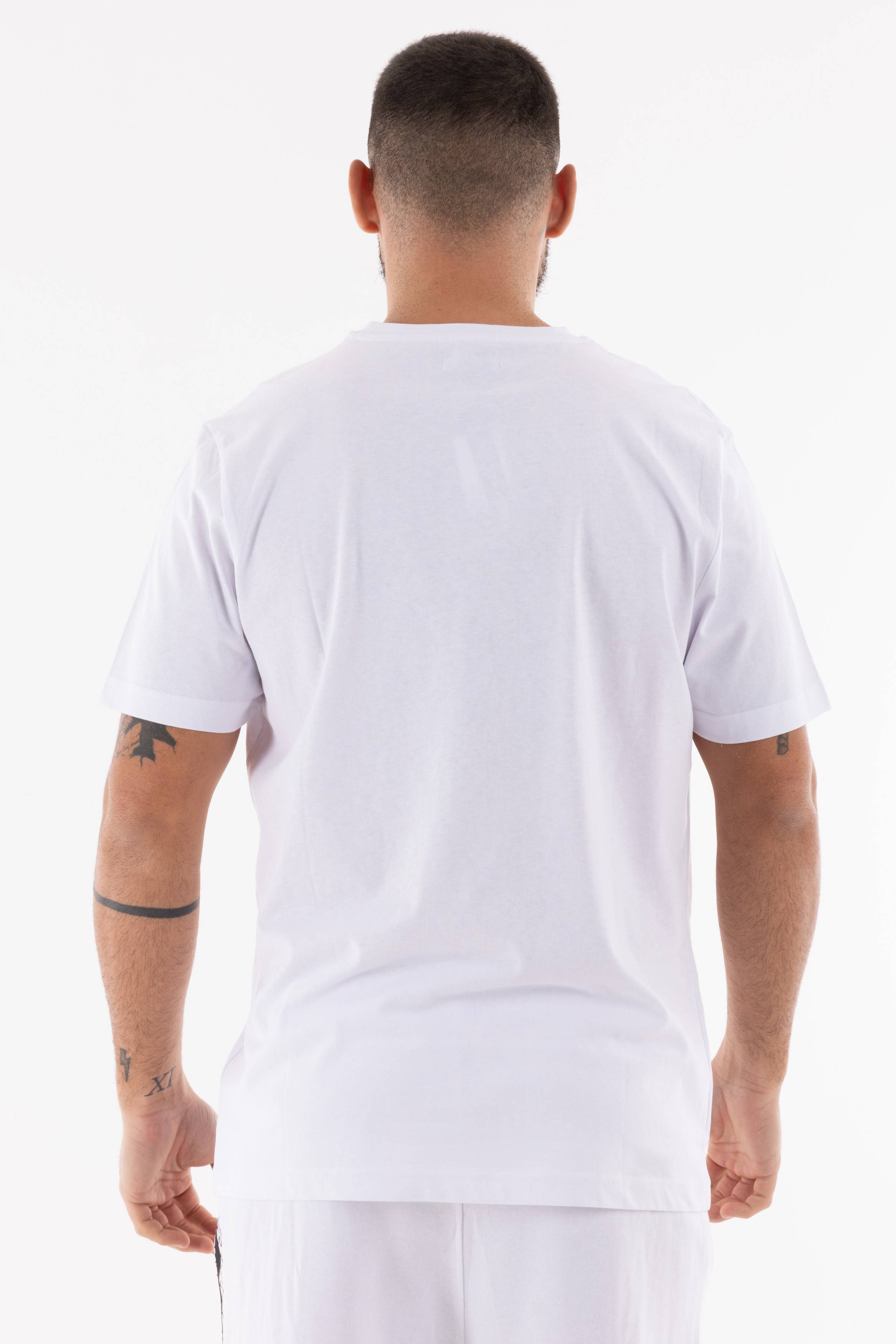 Immagine 8 per PRITSE-AK0026