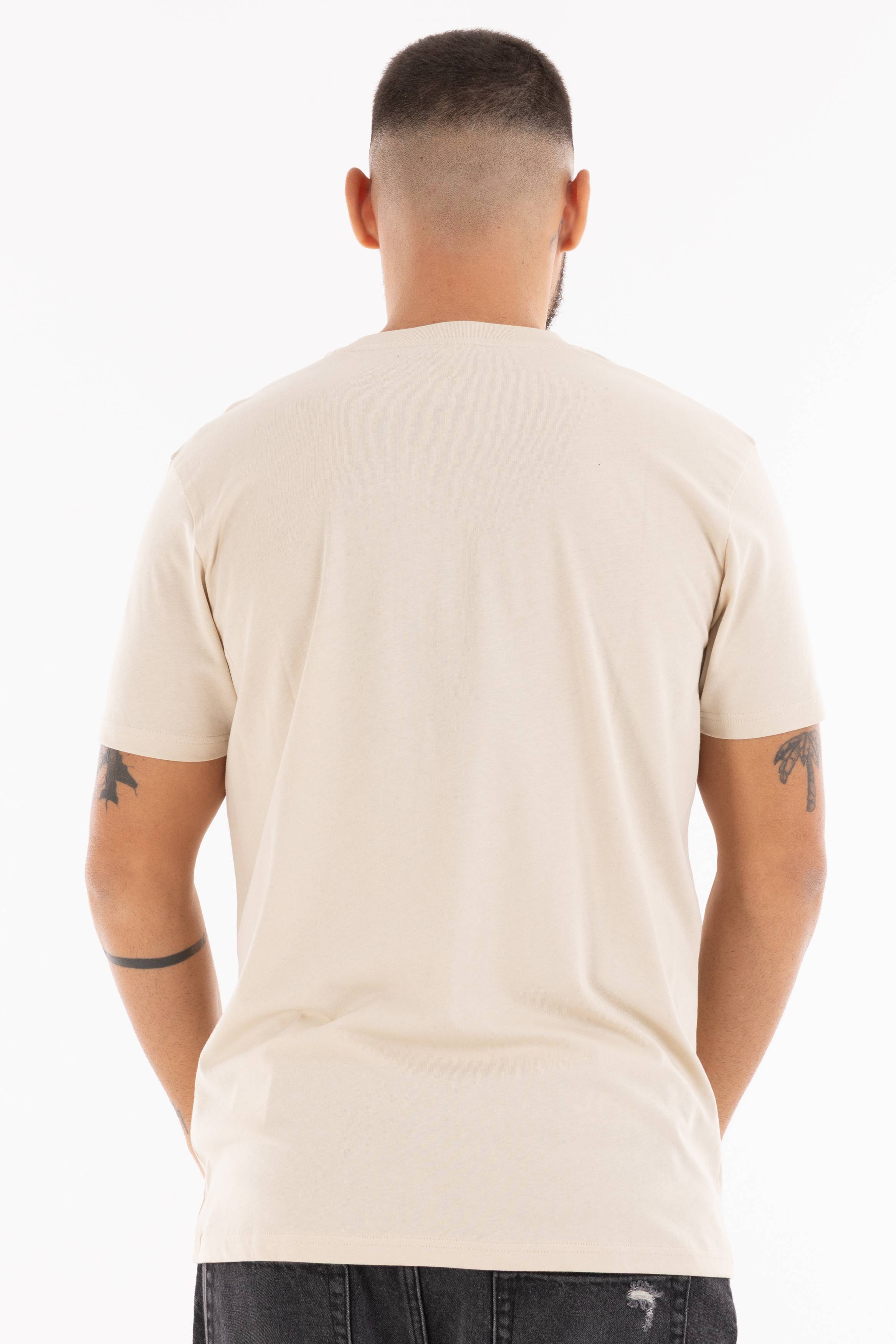 Immagine 8 per PRITSE-ID00125