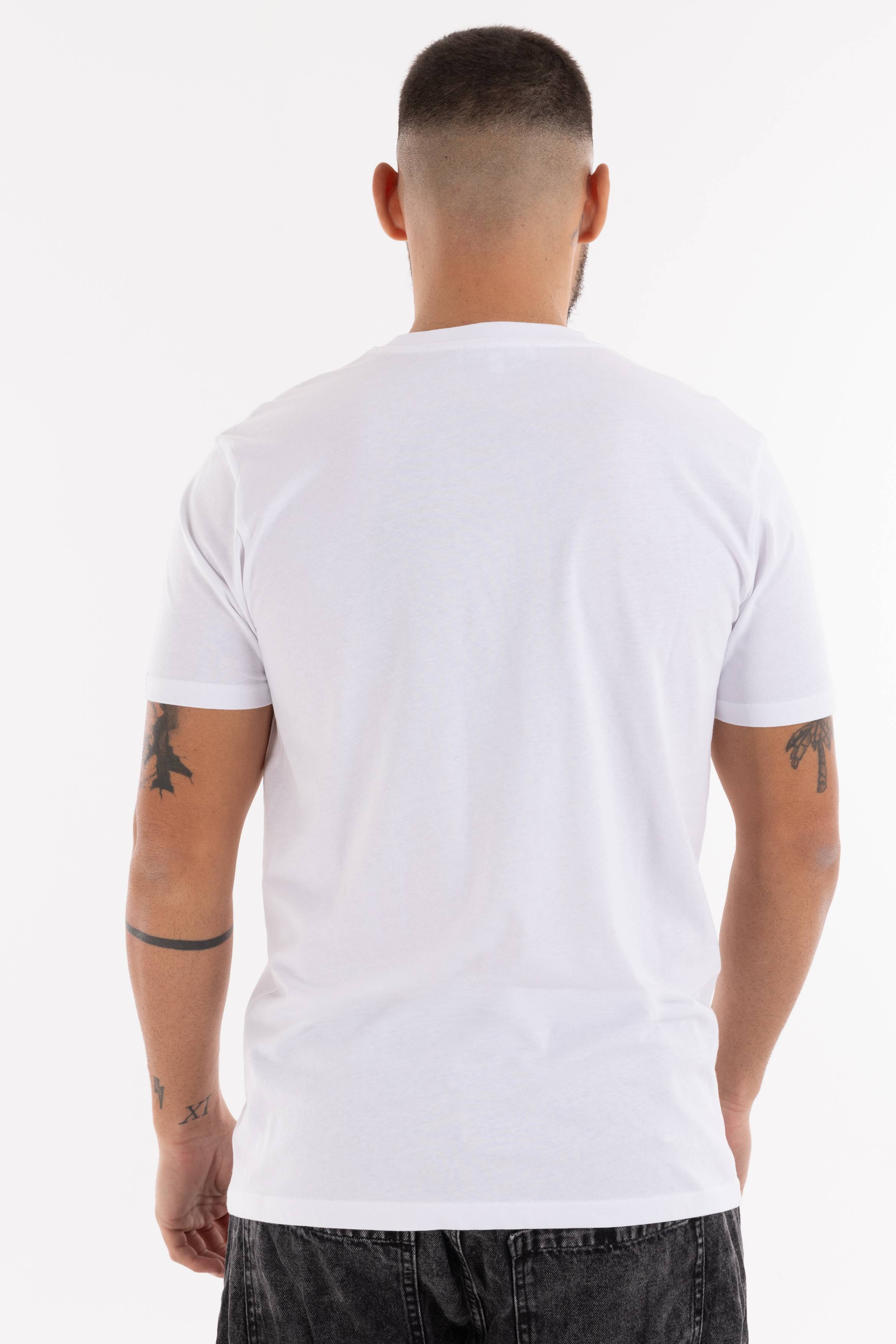 Immagine 8 per PRITSE-ID00132