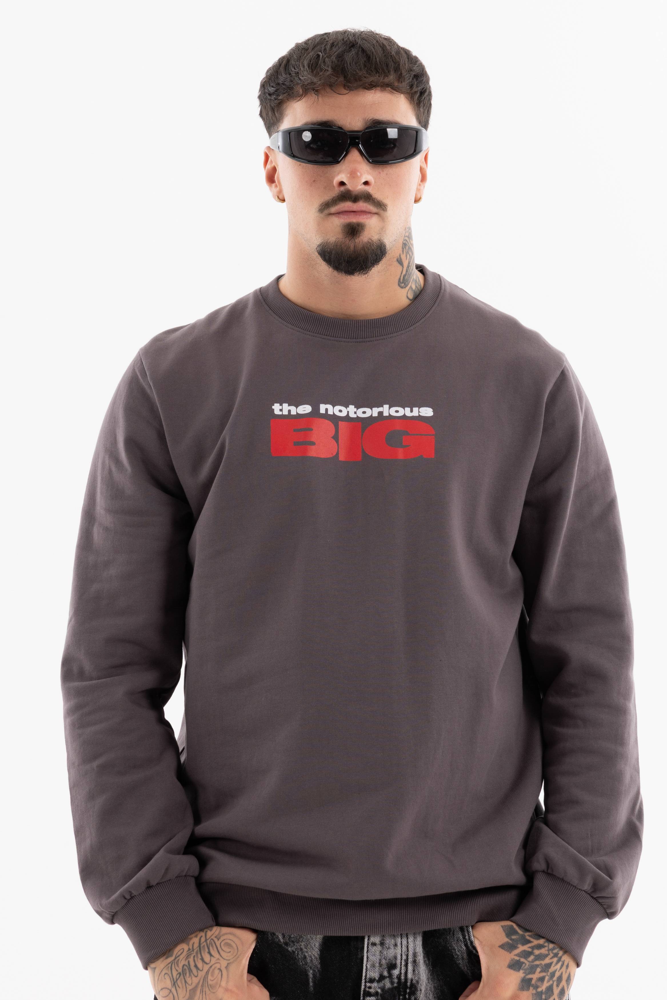 Immagine 6 per PRIBIG01