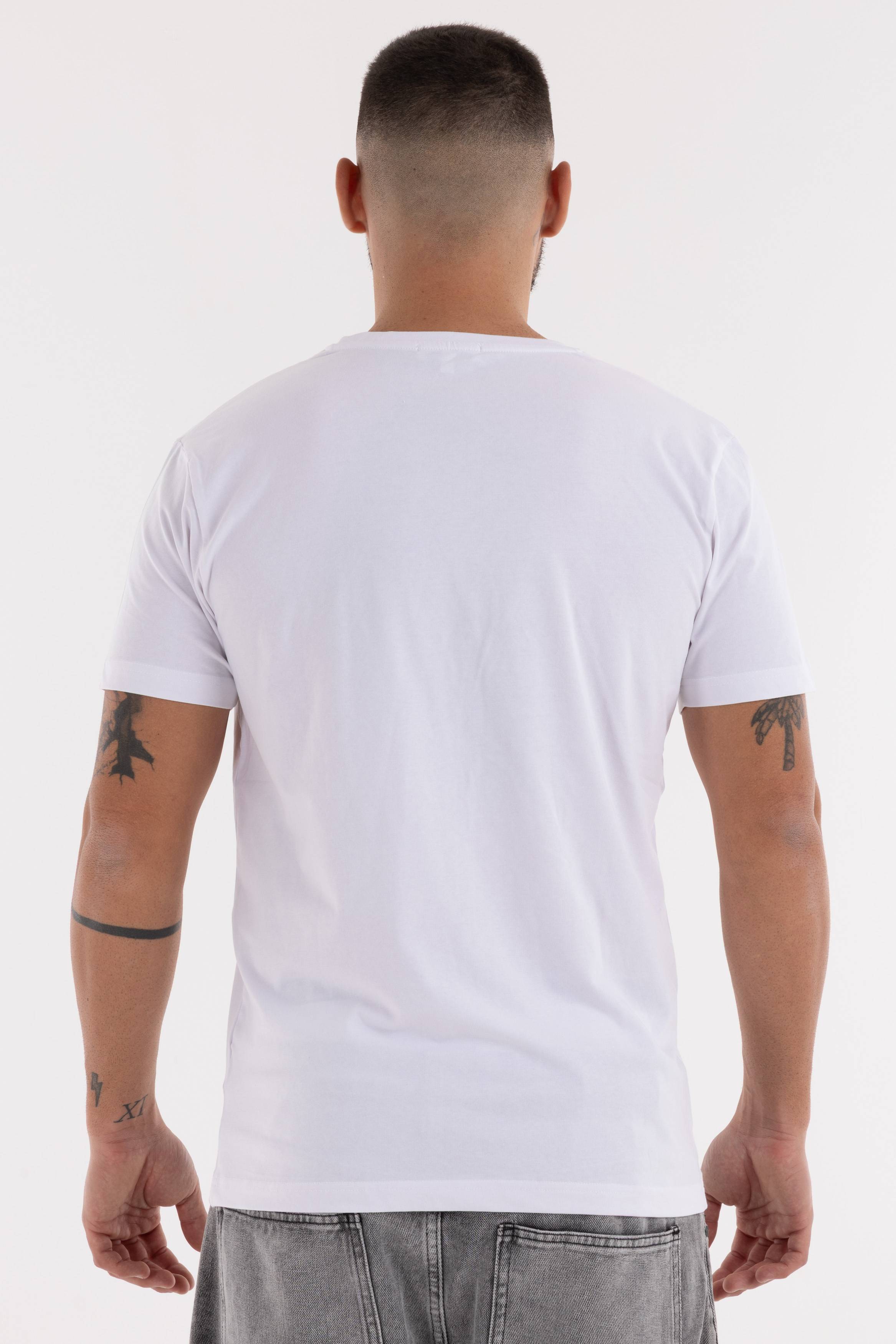 Immagine 8 per PRITSE-ABS0120