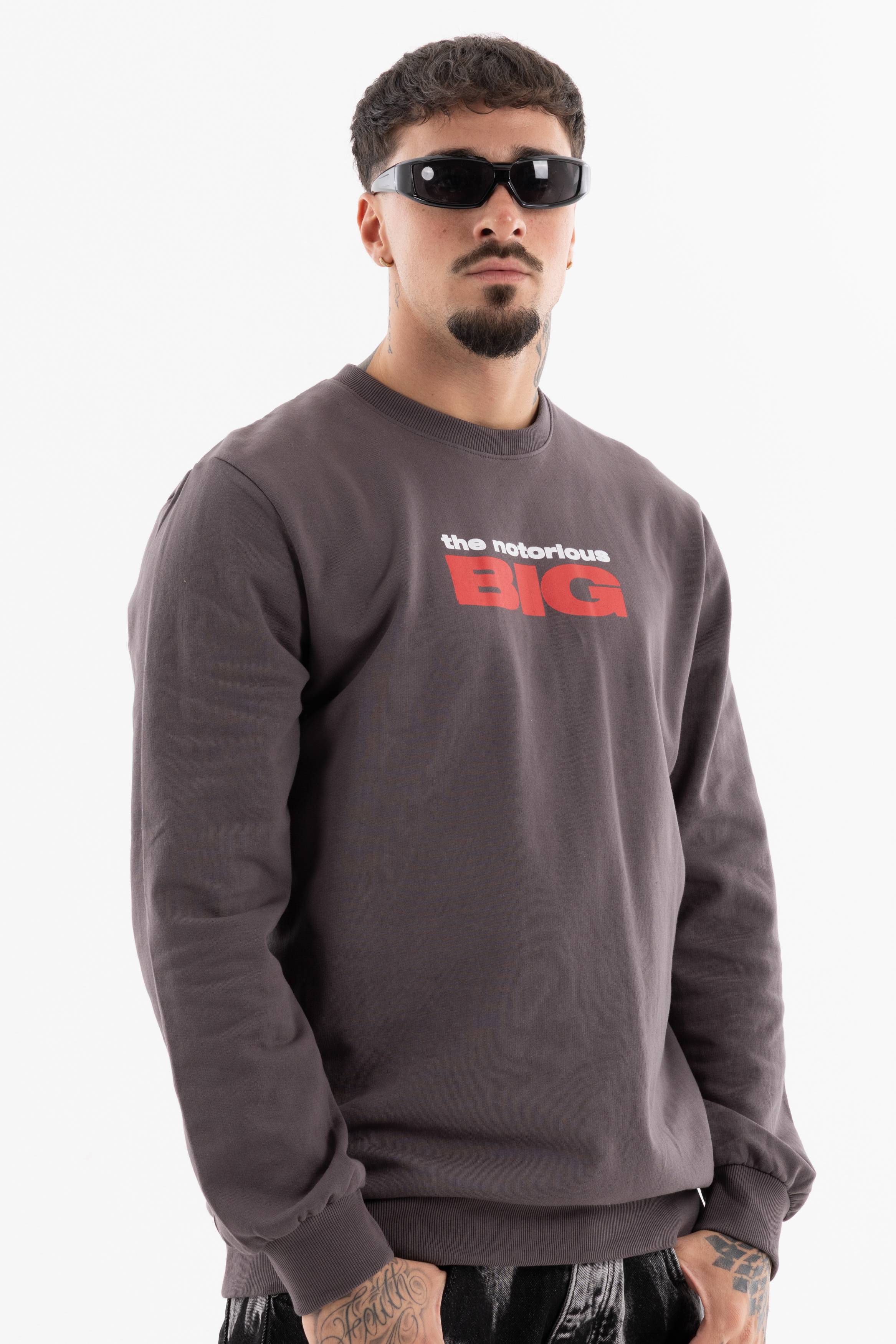 Immagine 8 per PRIBIG01