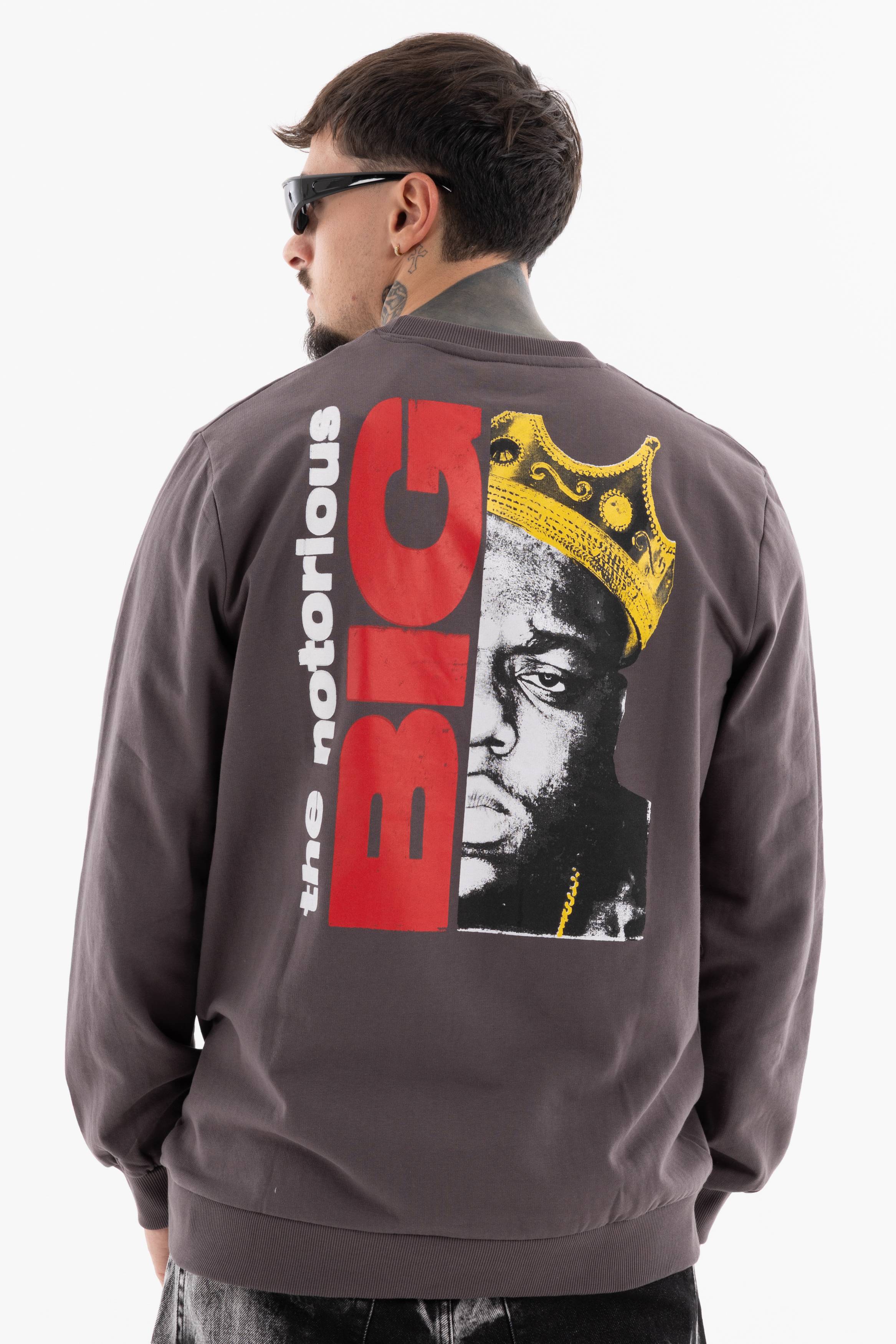 Immagine 9 per PRIBIG01