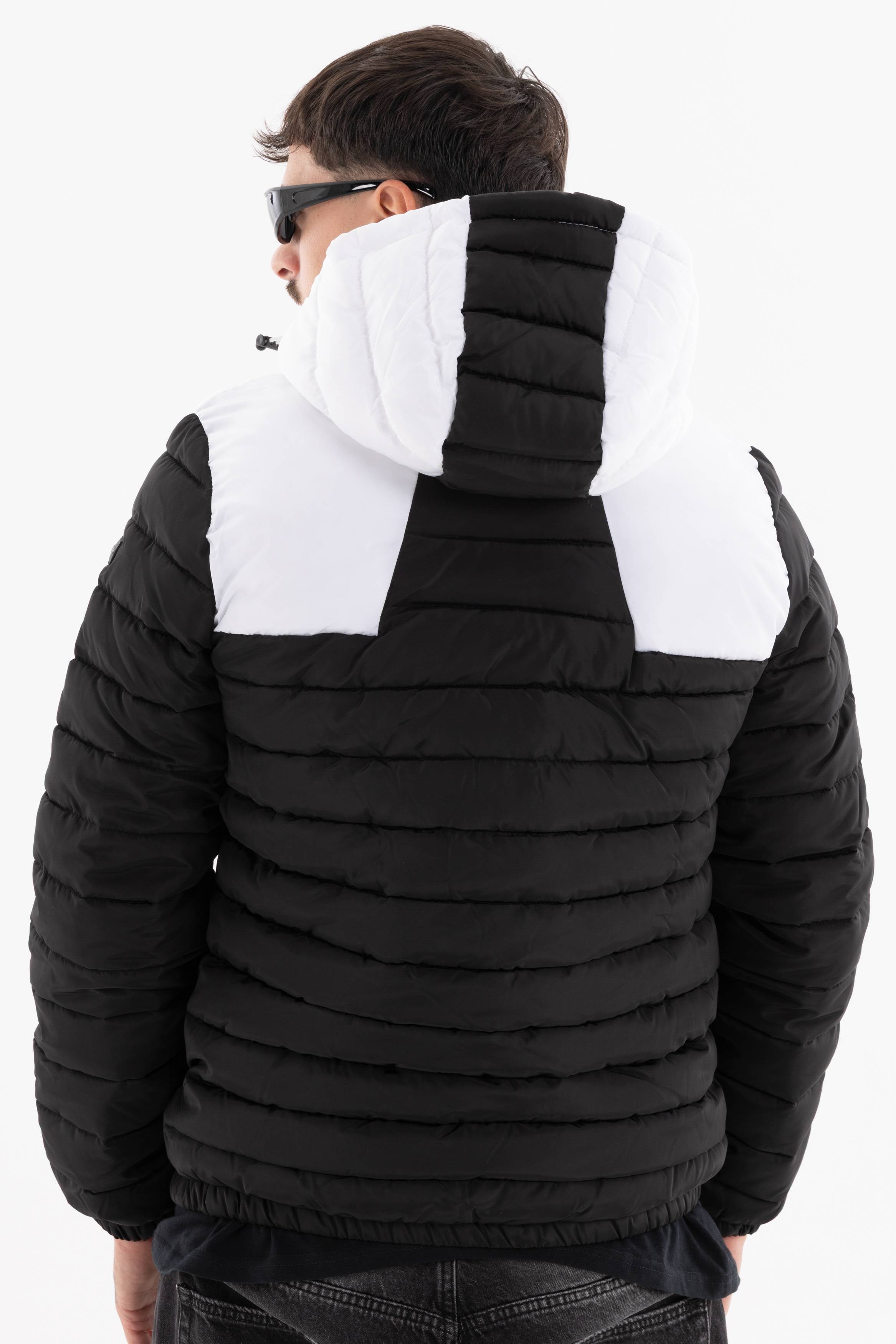 Immagine 4 per PRIGBI-VS00221